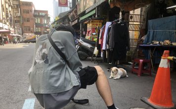 Jerry拍攝路邊納涼的狗狗（圖／彭宇希）